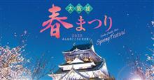 のんびりと夜桜見物