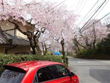 箱根でお湯とお花で・・・・。