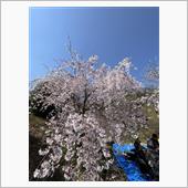 4/7大阪の天気最高でしたな ...