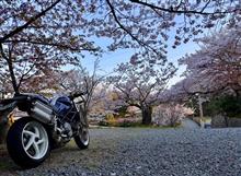 自宅-さくら茶屋-六甲山-自宅