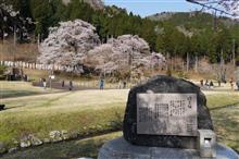 春のお散歩。