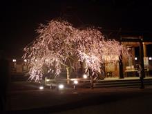 無料で走り放題～～ヽ(&#180;∀｀)ﾉ