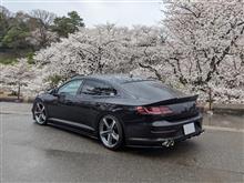 桜巡り①