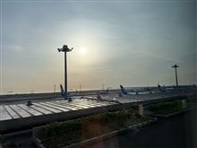 ちょっと✈️