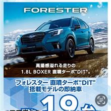車買い替え記 その８