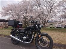 花見ツーリング