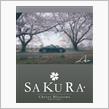 Sakura 2025 with ボクスター