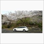 アテンザと遊ぶ　どうし道でお ...