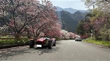 2025　桜