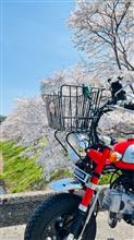 お花見ツー　モンキー