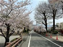 たつの公園散策からの龍野城