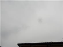 ４月１１日　スッキリしない天気なラス１の金曜日、おはよ～♪