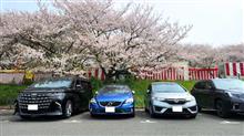 権現堂桜堤へ
