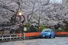 2025.04.06恒例京都市内早回りパート2