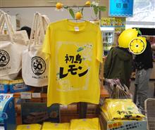 MINIでどらいぶ、&quot;初島レモン&quot;