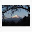 今日の富士山（20250412）