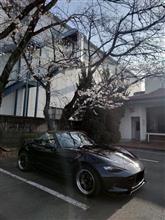 ロードスター入院中...