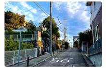 バイクニュース 2026年9月から、生活道路では車両の最高速度が30km／hに制限