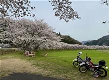 【SEROW】定点観測