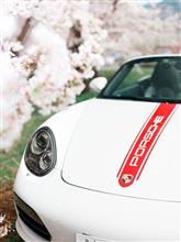 お花見にいってきました(^^)v