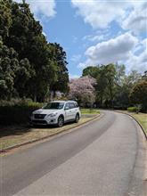 千葉市若葉区多部田町 平和公園市営霊園 訪問