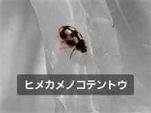 250412-3　スナイパーを･･･
