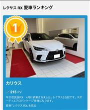 おかげ様でRXで1位になりました。。
