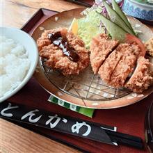 本日のランチは