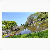 昭和記念公園