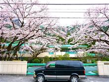 ★4月『奥多摩湖オフブログ』春ですね~♪桜咲く♪秘境の奥多摩湖でお花見オフ!(笑)FC-WORKS奥多摩湖オフ開催です♪ ★4月『奥多摩湖オフブログ』春ですね~♪桜咲く♪秘境の奥多摩湖でお花見オフ!(笑)FC-WORKS奥多摩湖オフ開催です♪