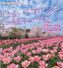 馬見丘陵公園「はるいろマルシェin馬見チューリップ」