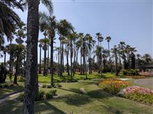 宮崎(…と少し鹿児島)に行ってきました②🌴