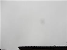 ４月１４日　また雨模様な週明けの月曜日、おはよ～♪