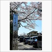 桜咲く那須塩原へ