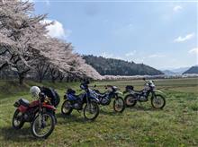 小浜グルメお花見林道ツーリング2025