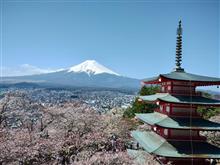 河口湖から山中湖、お花見富士見サイクリング 河口湖から山中湖、お花見富士見サイクリング