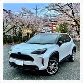 2025年 桜のシーズン　最 ...