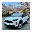 2025年 桜のシーズン　最後の落花も楽しみました🌸 〜 馬場編
