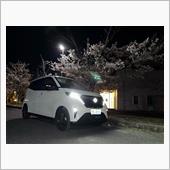 夜桜とSAKURAと収納バッグ