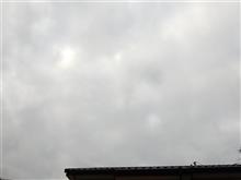 ４月１５日　スッキリしない天気が続く火曜日、おはよ～♪