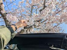 ふふふ開けた部分が、花びらマン開だね