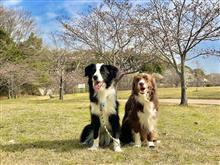 いつもの公園に春が来た～