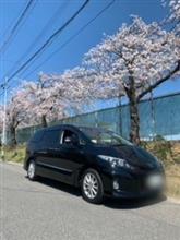 エスティマと桜華
