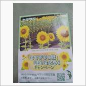 ひまわりの種頂きました(*^ ...