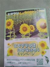 ひまわりの種頂きました(*^^*)4/16(水曜日)