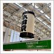 お休みにちょっとおでかけで小田原城へ🏯