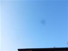 ４月１７日　晴れて暑さを感じそうな木曜日、おはよ～♪