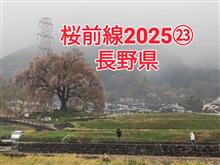 桜前線2025㉓長野県