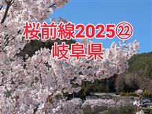 桜前線2025㉒岐阜県