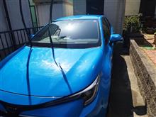 洗車日和。